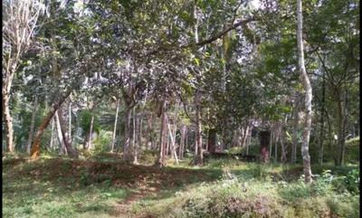 Image of 13068 Sq.ft Residential Plot / Land for sale in Vakayad, Kozhikode for Rs. 100000