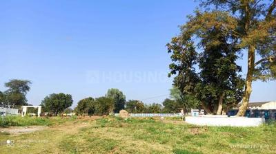 Image of 1000 Sq.ft Residential Plot / Land for sale in Panagar, Jabalpur for Rs. 600000