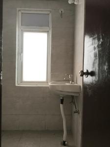 Common Bathroom Image of 750 Sq.ft 2 BHK Apartment / Flat for sale in Amrapali Dream Valley 2, Noida Extension Greater Noida for Rs. 6500000