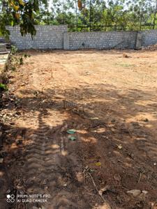 Residential Plot