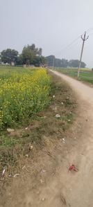 Image of 18900 Sq.ft Residential Plot / Land for sale in Mirzamurad, Varanasi for Rs. 17500000