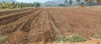 Image of 5796 Sq.ft Residential Plot / Land for sale in Narsipatnam, Visakhapatnam for Rs. 1500000