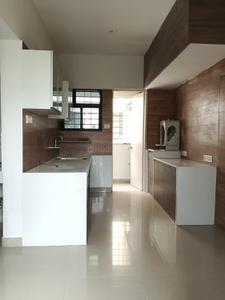 Kitchen Image of 900 Sq.ft 2 BHK Apartment / Flat for rent in Magarpatta Iris, Magarpatta City Pune for Rs. 42000