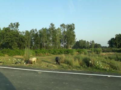 Image of 1250 Sq.ft Residential Plot / Land for sale in Omaxe Metro City Hitech Township P8, Kalli Pashchim, Lucknow for Rs. 8648626
