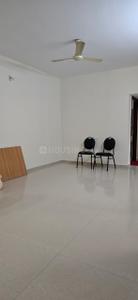 Hall Image of 1750 Sq.ft 3 BHK Apartment / Flat for rent in Ladyhill Mangalore for Rs. 27000