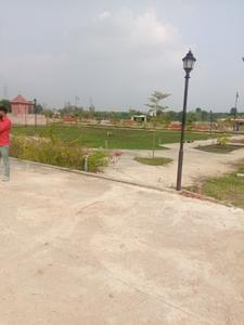 Plot View