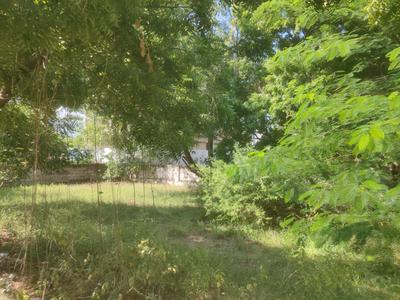 Kanathur Plot View 2