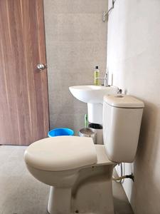 Common Bathroom Image of 1120 Sq.ft 2 BHK Apartment / Flat for sale in Gagan Adira, Wagholi Pune for Rs. 7800000