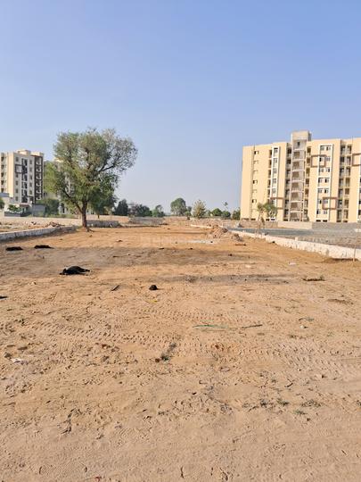 Y Phase 47 Narayan vihar Main Image 1
