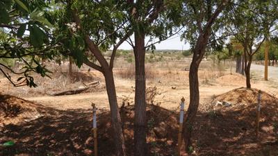 Image of 200 Sq.ft Residential Plot / Land for sale in Shamirpet, Hyderabad for Rs. 4200000