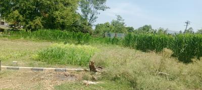 Image of 2574 Sq.ft Residential Plot / Land for sale in Patthaoru, Tirupathi for Rs. 2500000