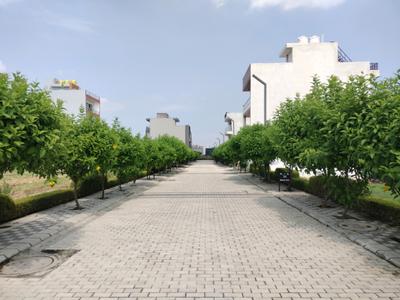 Image of 140 Sq.ft Residential Plot / Land for sale in Mansha Oaks, Sector 98, Faridabad for Rs. 17500000