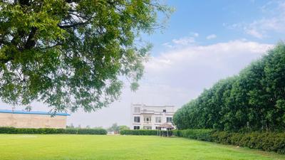 Image of 1000 Sq.ft Residential Plot / Land for sale in Amethi, Lucknow for Rs. 1250000