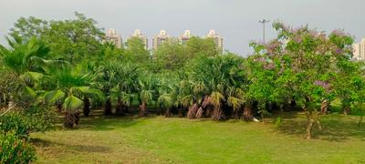 Image of 300 Sq.ft Residential Plot / Land for sale in Sector 105, Noida for Rs. 89000000