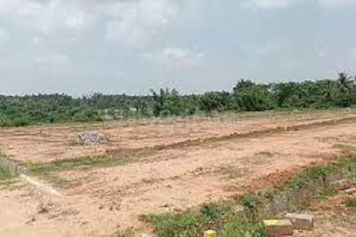 Image of 1440 Sq.ft Residential Plot / Land for sale in ASM Shree Jaswant Garden, Sector 14, Panchkula for Rs. 11200000