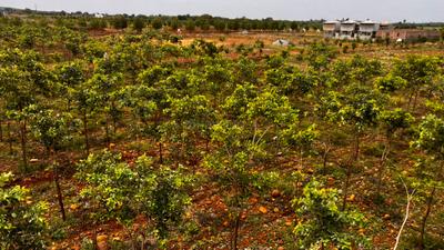 Image of 10000 Sq.ft 1.5 BHK Farm House for sale in Uthukkottai, Chennai for Rs. 5000000