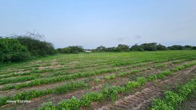 Image of 10000 Sq.ft Residential Plot / Land for sale in Becharaji, Mehsana for Rs. 5000000