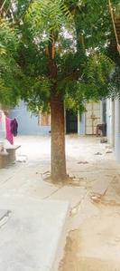 Image of 500 Sq.ft 3.5 BHK Independent House for sale in Arjun Nagar, Jaipur for Rs. 8000000