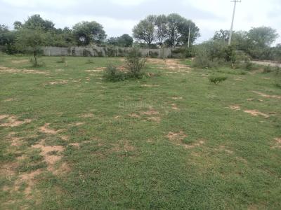 Image of 1485 Sq.ft Residential Plot / Land for sale in Shadnagar, Ranga Reddy for Rs. 3600000