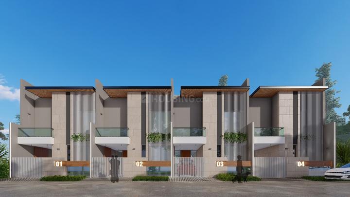 Exotica Woods Main Image 1