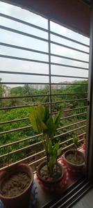 Balcony Image of 1450 Sq.ft 3 BHK Apartment / Flat for sale in Kasba Kolkata for Rs. 9800000