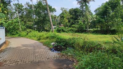 Image of 15250 Sq.ft Residential Plot / Land for sale in Mulanthuruthy, Kochi for Rs. 375000