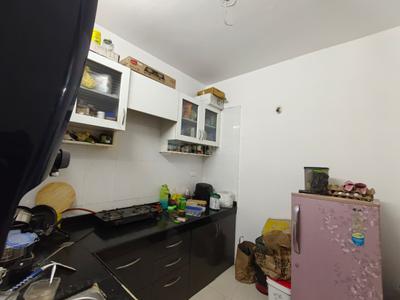 Kitchen Image of 850 Sq.ft 2 BHK Apartment / Flat for rent in Kohinoor Tinsel Town, Hinjawadi Phase 2 Pune for Rs. 33000
