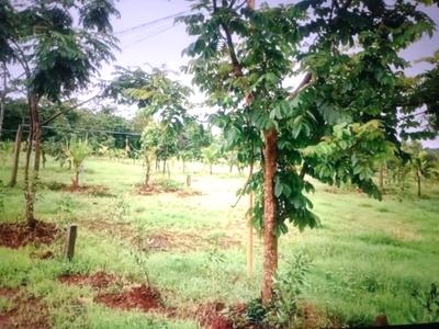 Image of 1089 Sq.ft Residential Plot / Land for sale in Ranjanpada, Navi Mumbai for Rs. 455000