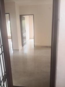 Hall Image of 1400 Sq.ft 3 BHK Apartment / Flat for rent in Ashok Nagar Chennai for Rs. 45000