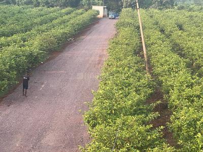 Image of 17200 Sq.ft Residential Plot / Land for sale in Kabir Nagar, Raipur for Rs. 4300000