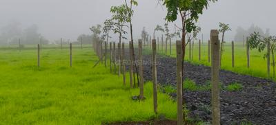 Image of 12000 Sq.ft Residential Plot / Land for sale in Shahapur, Thane for Rs. 2988000