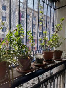 Balcony Image of 1070 Sq.ft 2 BHK Apartment / Flat for sale in Green Heights, Rajarhat Kolkata for Rs. 7000000