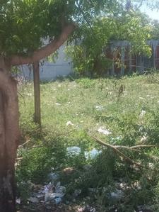 Image of 4243 Sq.ft Residential Plot / Land for sale in Suleeswaranpatti, Pollachi for Rs. 8766000