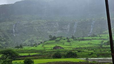 Image of 11000 Sq.ft Residential Plot / Land for sale in Shirsate, Nashik for Rs. 4651000
