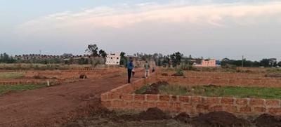 Patrapada Plot View 1