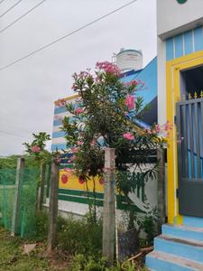 Image of 1404 Sq.ft 2 BHK Independent House for sale in Vazhu Thareddy, Viluppuram for Rs. 8500000