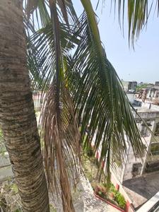 Image of 900 Sq.ft 2 BHK Apartment / Flat for sale in Kasba, Kolkata for Rs. 2800000