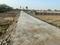 Sanwer Plot View 2