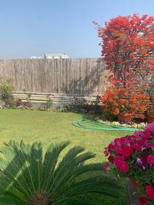 Image of 7000 Sq.ft 5 BHK Builder Floor for rent in Panchsheel Park, New Delhi for Rs. 550000