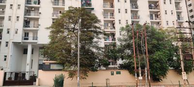 Image of 1035 Sq.ft 2 BHK Apartment / Flat for sale in Amrapali Silicon City, Sector 76, Noida for Rs. 10500000