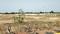 Premium plots for sale with High returns Main Image 1