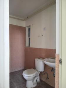 Common Bathroom Image of 840 Sq.ft 2 BHK Apartment / Flat for rent in Jaypee Aman, Aurangabad Noida for Rs. 17000