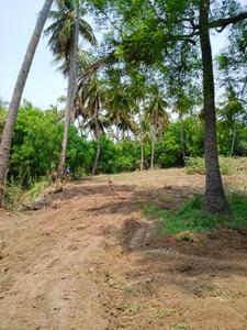 Image of 13000 Sq.ft Residential Plot / Land for sale in Jawahar Bazaar, karur for Rs. 6000000