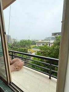 Balcony Image of 1920 Sq.ft 3 BHK Apartment / Flat for sale in Bhayli Vadodara for Rs. 4800000