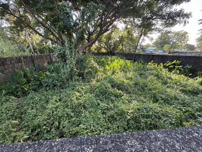 Image of 4500 Sq.ft Residential Plot / Land for sale in Chilavannur, Kochi for Rs. 1895000