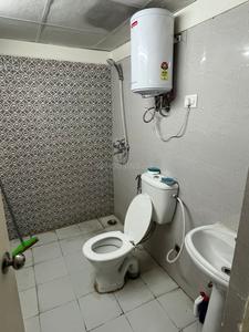 Bathroom Image of 450 Sq.ft 1 BHK Apartment / Flat for rent in Gaurs 14th Avenue, Noida Extension Greater Noida for Rs. 19000