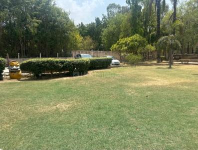 Agricultural Land