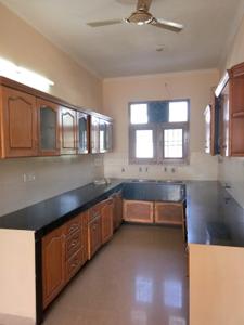 Kitchen Image of 4500 Sq.ft 3 BHK Builder Floor for rent in Sector 60 Mohali for Rs. 36000