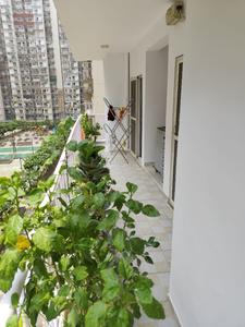 Image of 1430 Sq.ft 3 BHK Apartment / Flat for sale in Fusion Homes, Noida Extension, Greater Noida for Rs. 13600000