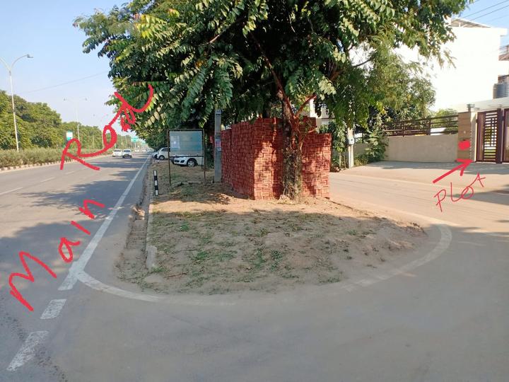 1 BHK 7200 Sqft Independent House for sale at Sector 80, Mohali